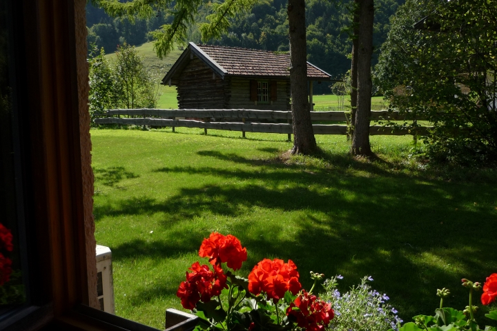 Blick vom Küchenfenster