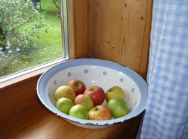 Foto 10