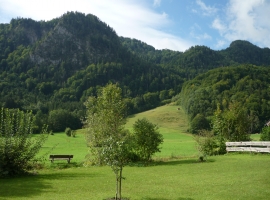 Foto 15