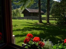 Blick vom Küchenfenster