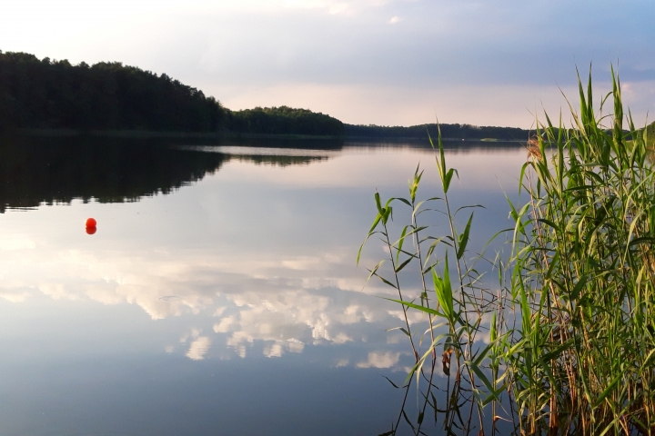 Leppiner See in unserer Nähe