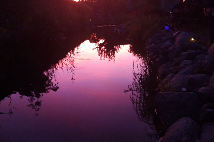 Sonnenuntergang am Teich