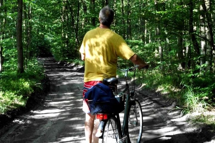 Radeln in Wald und Flur