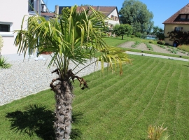 Foto 19