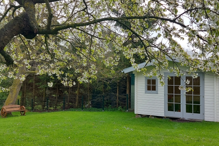 Blick in den Garten