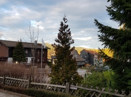 Foto 17