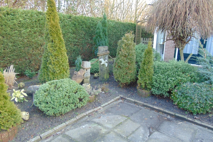 Vorgarten vor Autoeinstellplatz