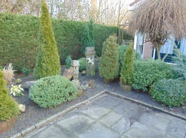 Foto 26