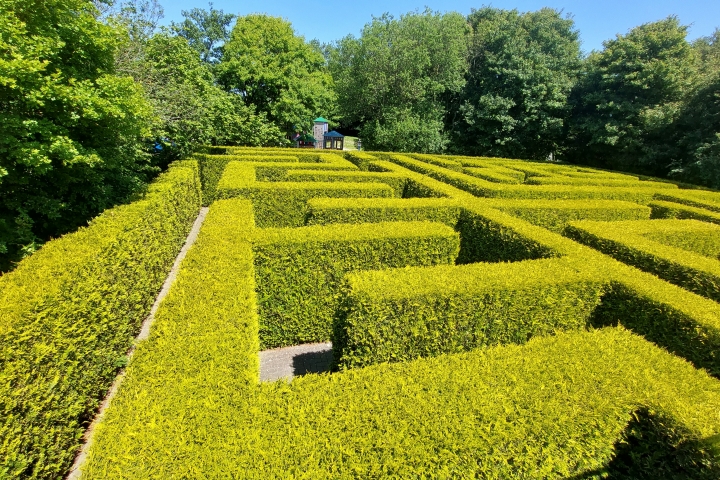 Irrgarten Norddeich beim Kinderspielhaus