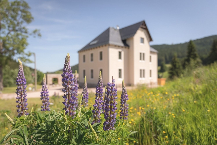 Zufahrt zum Ferienhaus