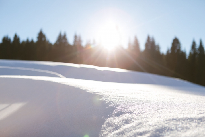 Alte Försterei Wildenthal in Eibenstock · Erzgebirge - im Schnee