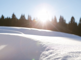 Alte Försterei Wildenthal in Eibenstock · Erzgebirge - im Schnee