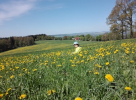 Ferienhaus vom Waldrand