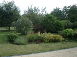 Foto 17