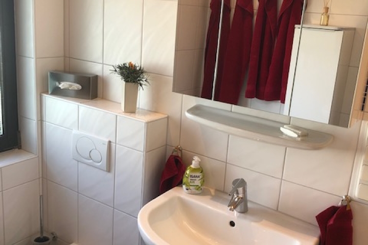 Duschbad mit beleuchtetem Spiegelschrank und Waschbeckenunterschrank mit Fön
