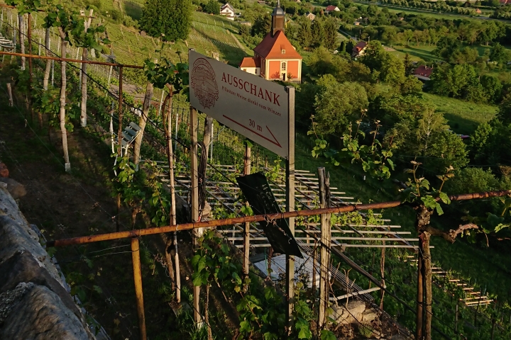 Weinbergwanderung mit vielen Weinwirtschaften in unmittelbarer Nähe, herrliche Aussicht auf die Stadt, das Osterzgebirge und die Sächsische Schweiz 