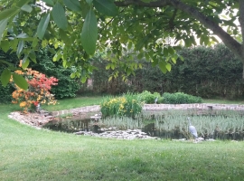 Foto 18