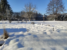 Foto 14