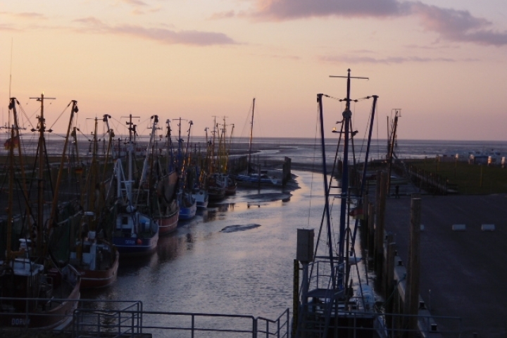 Kutterhafen