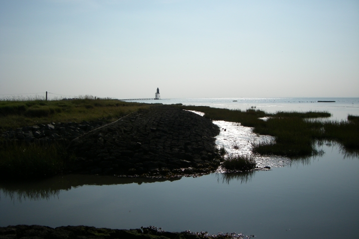 Natur umzu