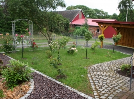 Foto 20