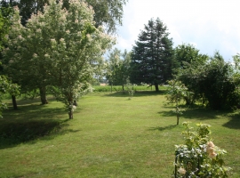 Foto 21