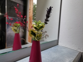 Foto 16
