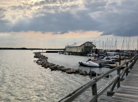 Foto 15