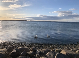 Foto 19