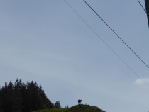Foto 21