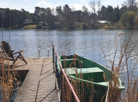 Foto 12