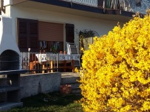 Foto 9