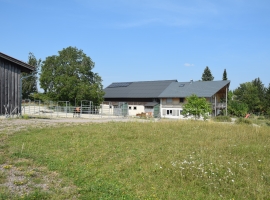 Foto 22