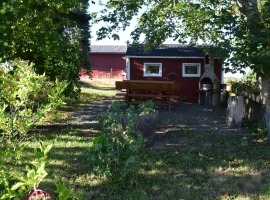 Foto 21