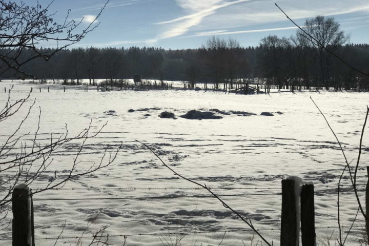 Umgebung im Winter