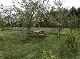Foto 9