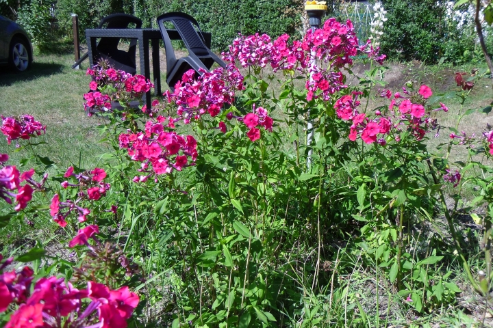 Ferienwohnung Lachmöwe | Sitzbereich Im Garten
