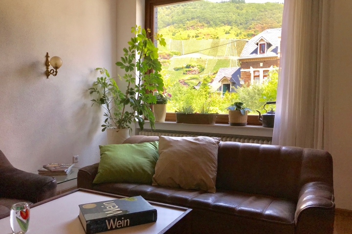 Blick aus dem großen Wohnzimmerfenster auf die Weinberge