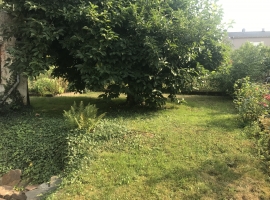 Garten der FeWo mit Schatten spendender Magnolie