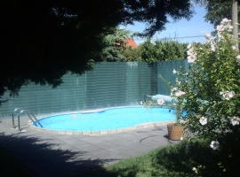 Foto 19