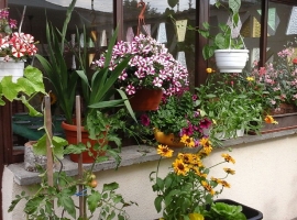Foto 5