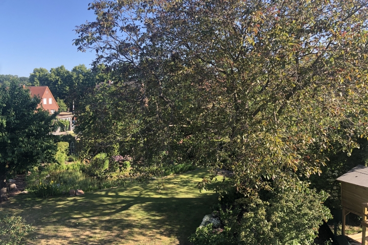 Blick in den Garten