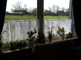 Fenster Wohnbereich