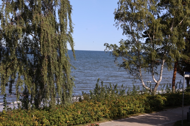 Ein schöner Blick aufs Meer.