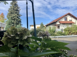 Foto 21