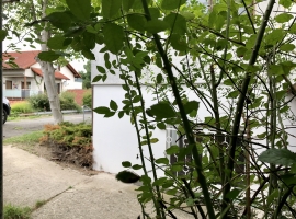 Foto 22