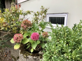 Foto 23