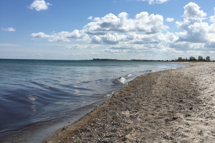 Strand Kronsgaard