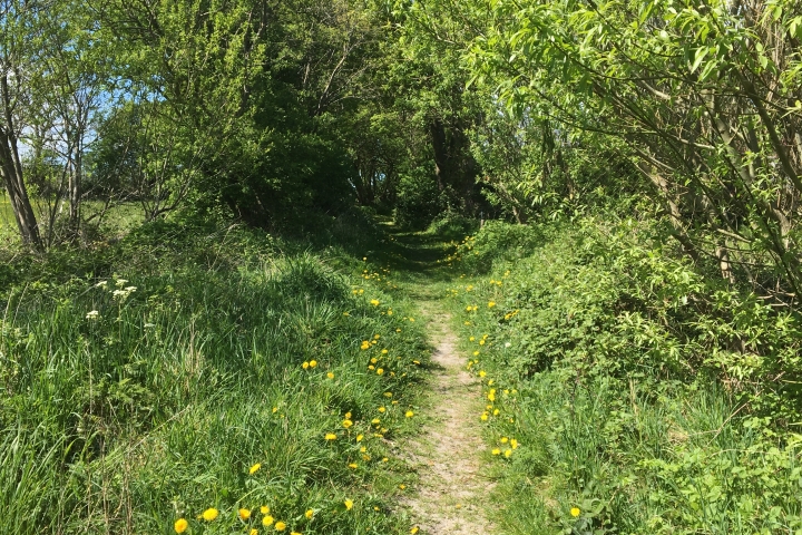 Strandweg Seeblick