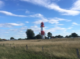 Foto 20